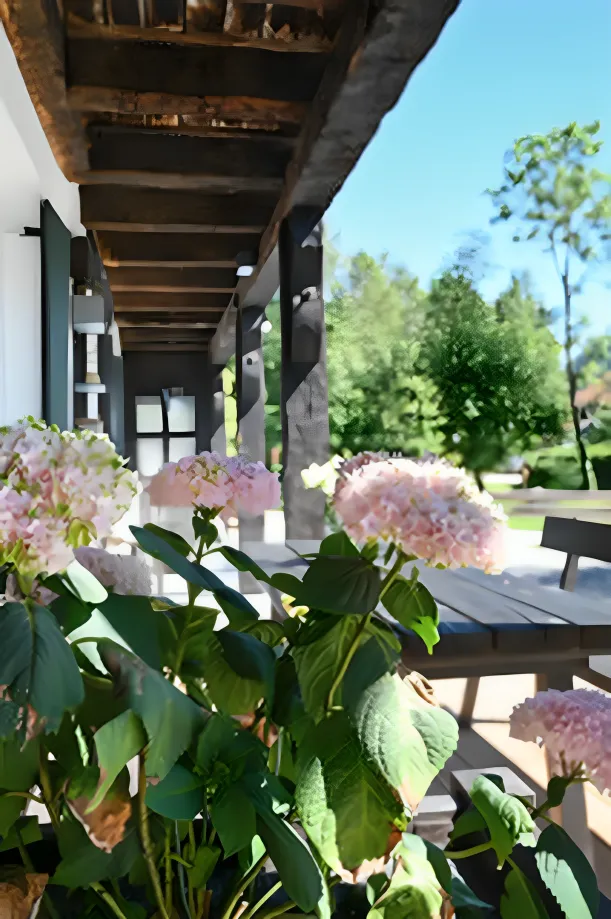 Antjes – Roomstyling –  Rosa Hortensien im Vordergrund vor einer überdachten Holzterrasse mit Holzbalkendecke. Im Hintergrund sieht man Bäume und blauen Himmel.